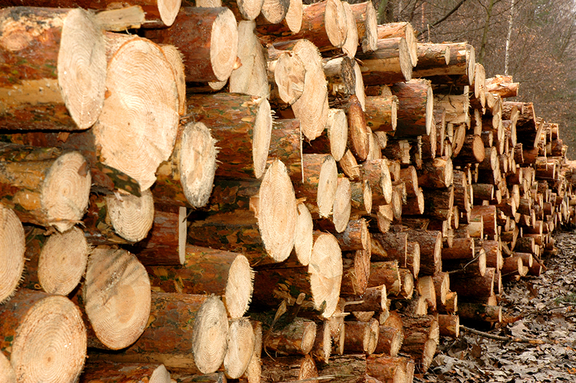 Unsere 8 Tipps zum richtigen Lagern von Holz.